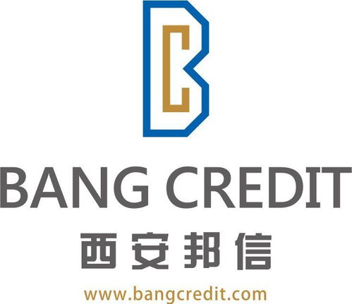 西安邦信商務(wù)信息咨詢(xún)